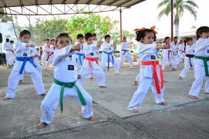 artes marciale