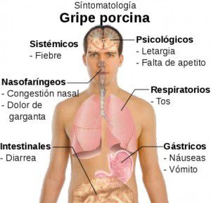 gripe