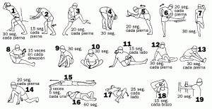 tabla_estiramientos