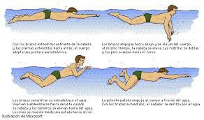 natación un deporte para todas las edades-braza