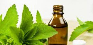 La Stevia - extracto stevia
