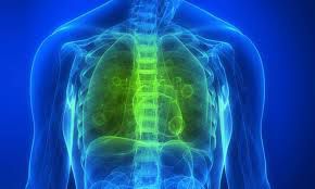 limpiar pulmones de forma natural-pulmones sanos