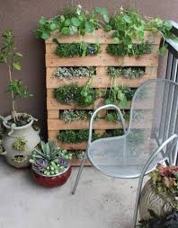 Comienza tu huerto urbano-cultivo vertical