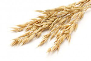 bebida de avena- cereal