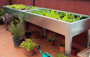 comienza tu huerto urbano-mesa-de-cultivo