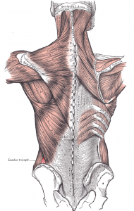 dolor lumbal o lumbalgia