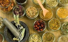 el uso de plantas medicinales- almacenamiento