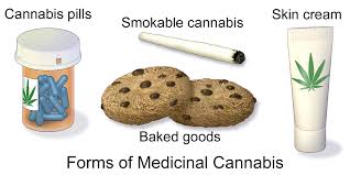 El uso de plantas medicinales
