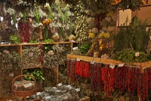 no mas farmacos-plantas medicinales