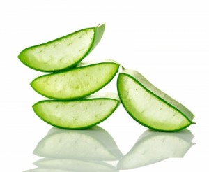 como tratar las hemorroides-aloe vera