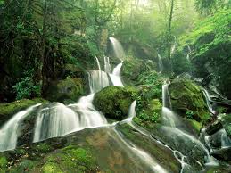 escap de la ciudad disfruta de la naturaleza - rio
