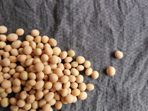 Alimentos muy sanos pero sin excesos