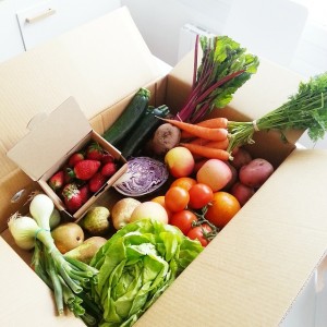zumos contra el envejecimiento-frutas y verduras