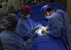 donacion de organos