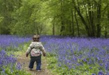 Diez cuidados para los bebés en primavera ninyos descubrir poco naturaleza