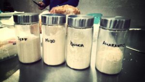 Alimentos sustitutos de la harina de trigo Alimentos sustitutos harina trigo